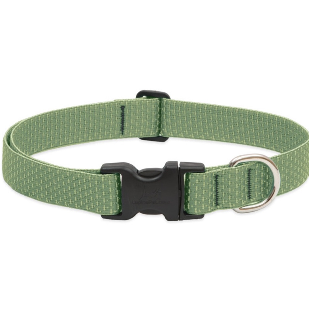 Lupine Pet Eco Dog Collar
